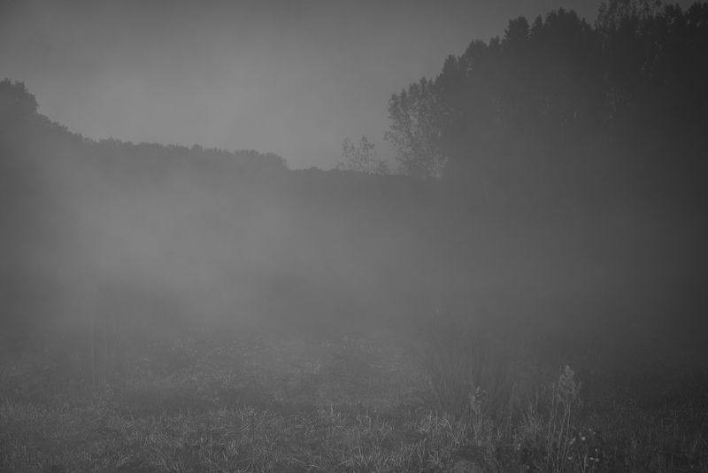 © Anton Polyakov - Image from the Separate photography project