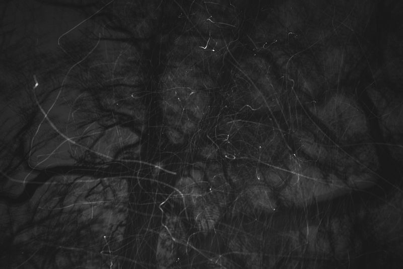 © Anton Polyakov - Image from the Separate photography project