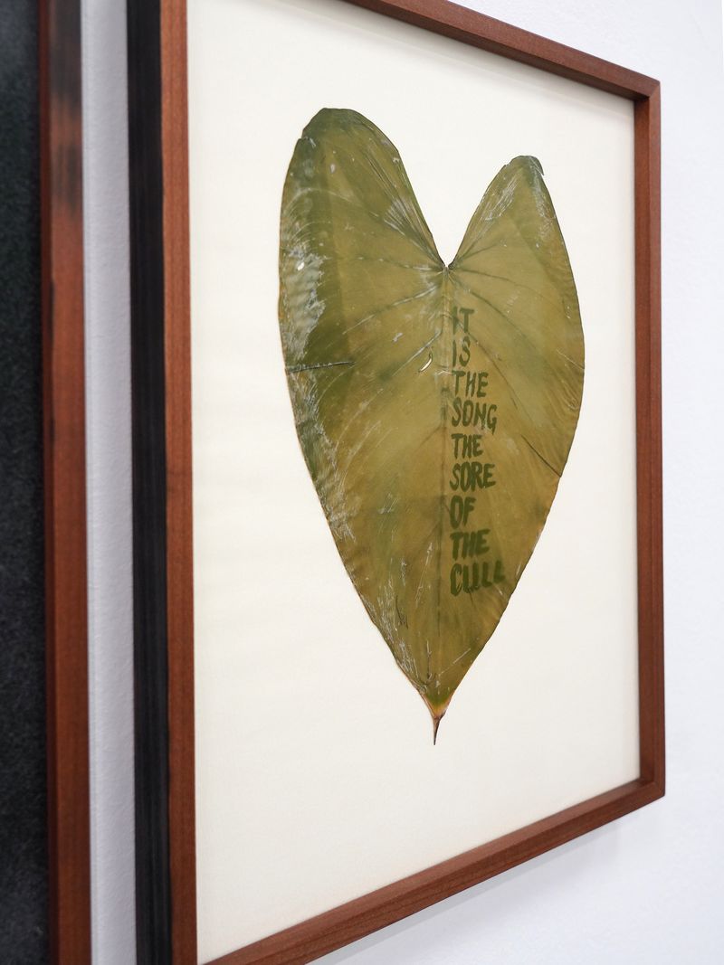 © Benedetta Casagrande - It is the song / the sore / of the cull (2024), chlorophyll print, text extract by lee rae walsh