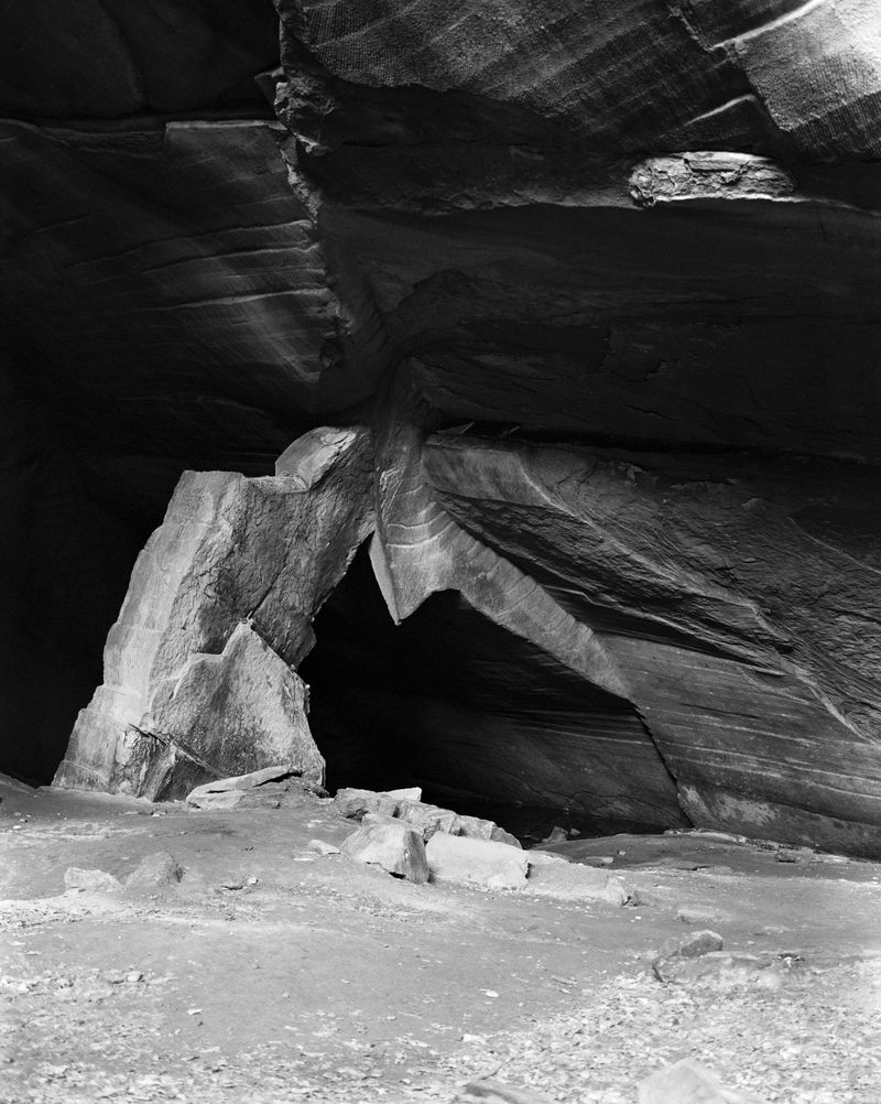 © Benedetta Casagrande - Image from the All Things Laid Dormant photography project