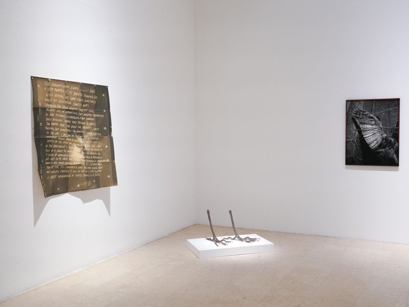 © Benedetta Casagrande - Exhibition view, solo show, All things laid dormant (2025), Triennale Milano