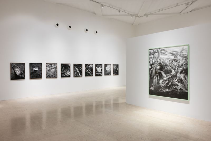 © Benedetta Casagrande - Exhibition view, solo show, All things laid dormant (2025), Triennale Milano