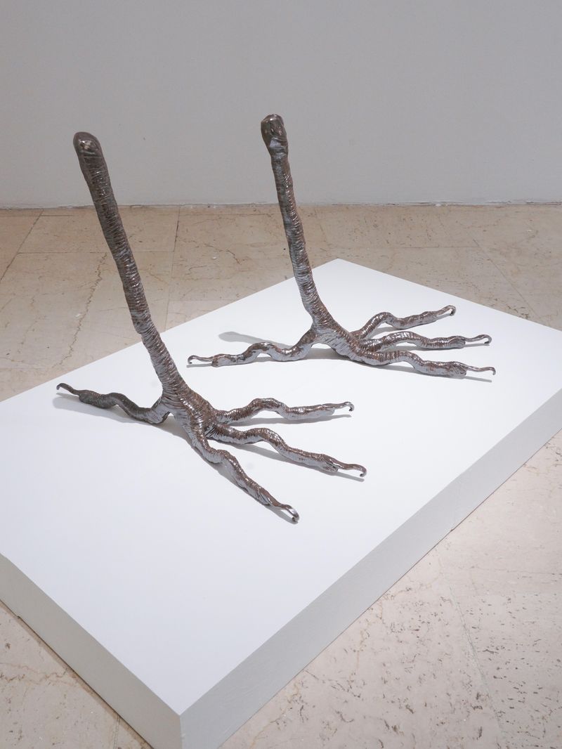 © Benedetta Casagrande - Image from the All Things Laid Dormant photography project