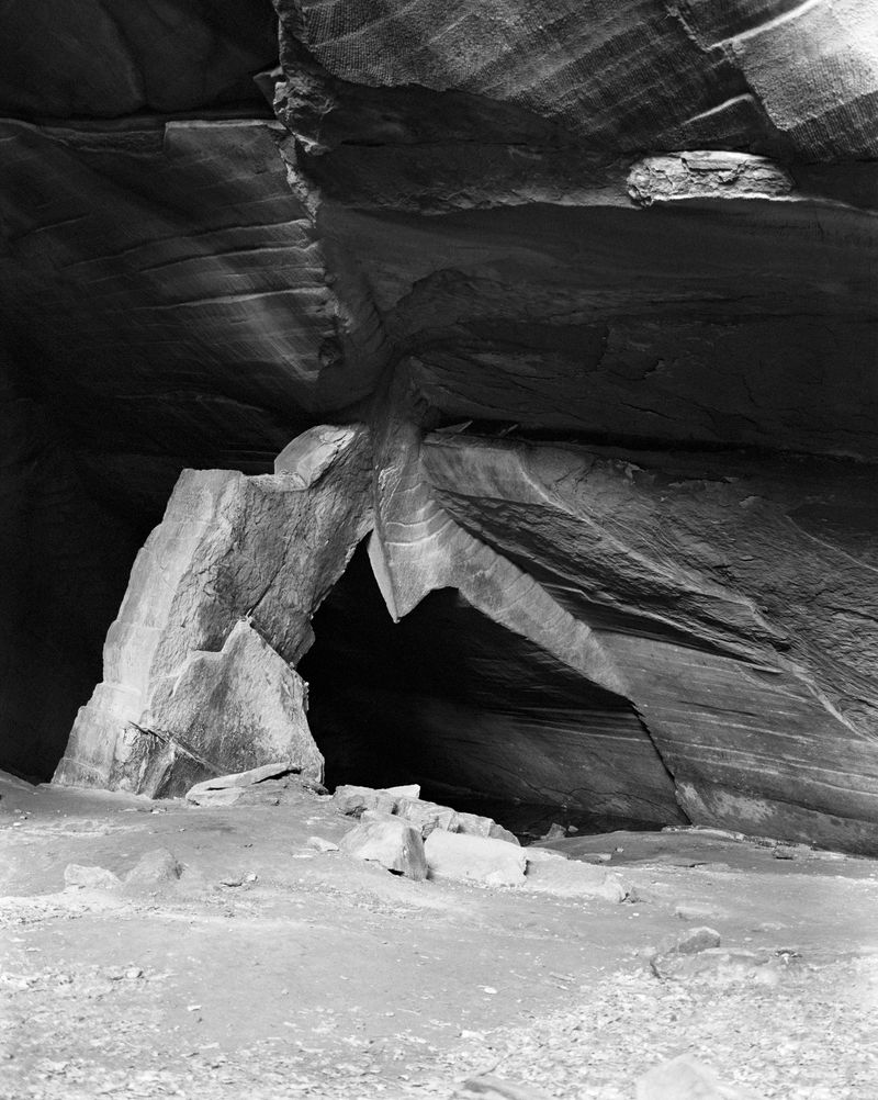 © Benedetta Casagrande - Image from the All Things Laid Dormant photography project