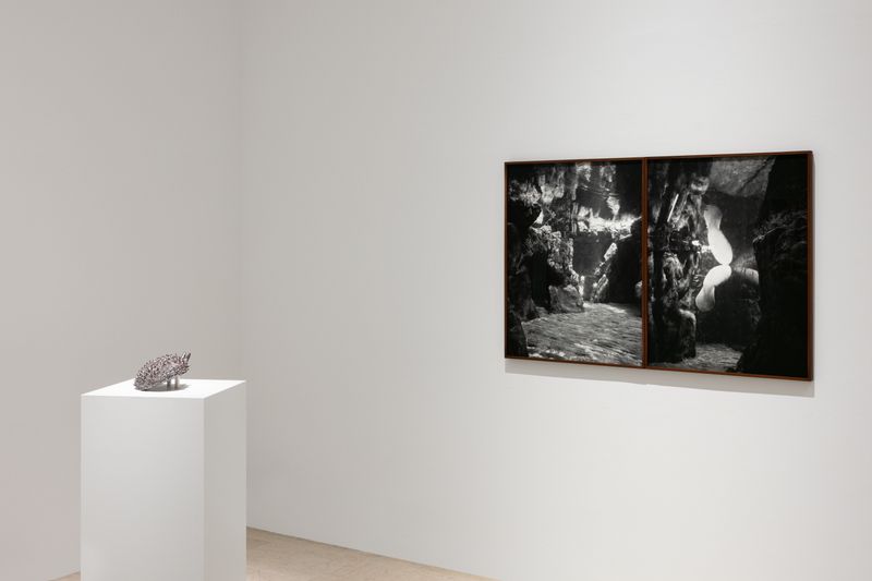 © Benedetta Casagrande - Exhibition view, solo show, All things laid dormant (2025), Triennale Milano