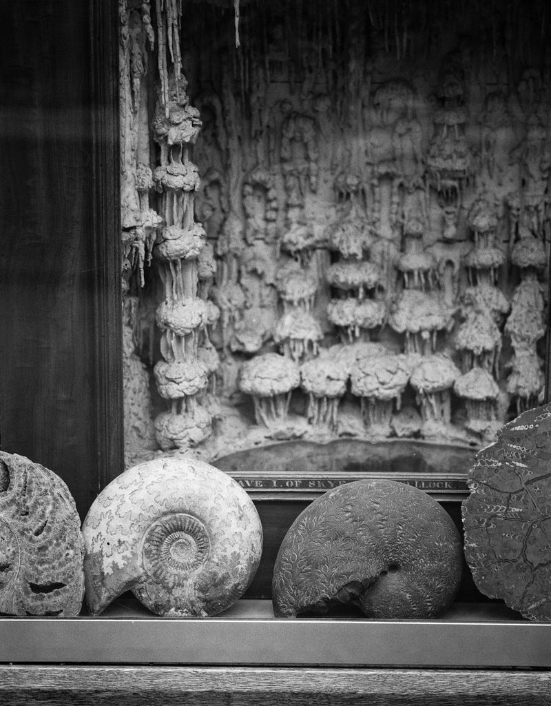 © Benedetta Casagrande - Image from the All Things Laid Dormant photography project