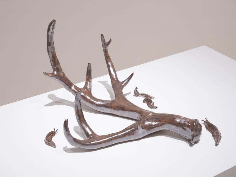 © Benedetta Casagrande - Horn (2024) and Slugs (2025), ceramic sculptures, glaze blended with silver extracted from exhausted darkroom fixer