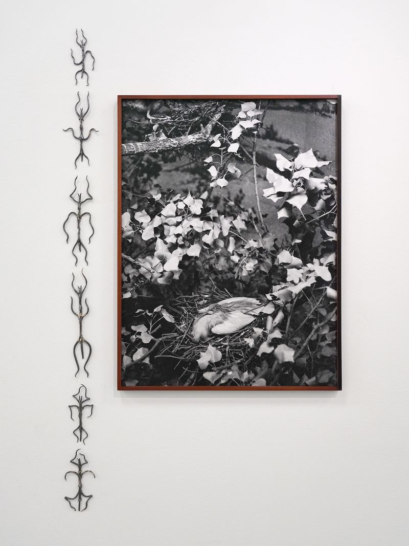 © Benedetta Casagrande - Phasmids (2024), six ceramic sculptures, glaze blended with silver extracted from exhausted darkroom fixer