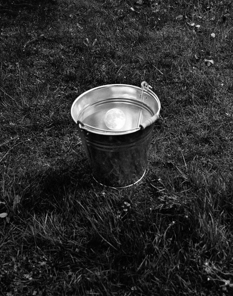 © Benedetta Casagrande - Image from the All Things Laid Dormant photography project