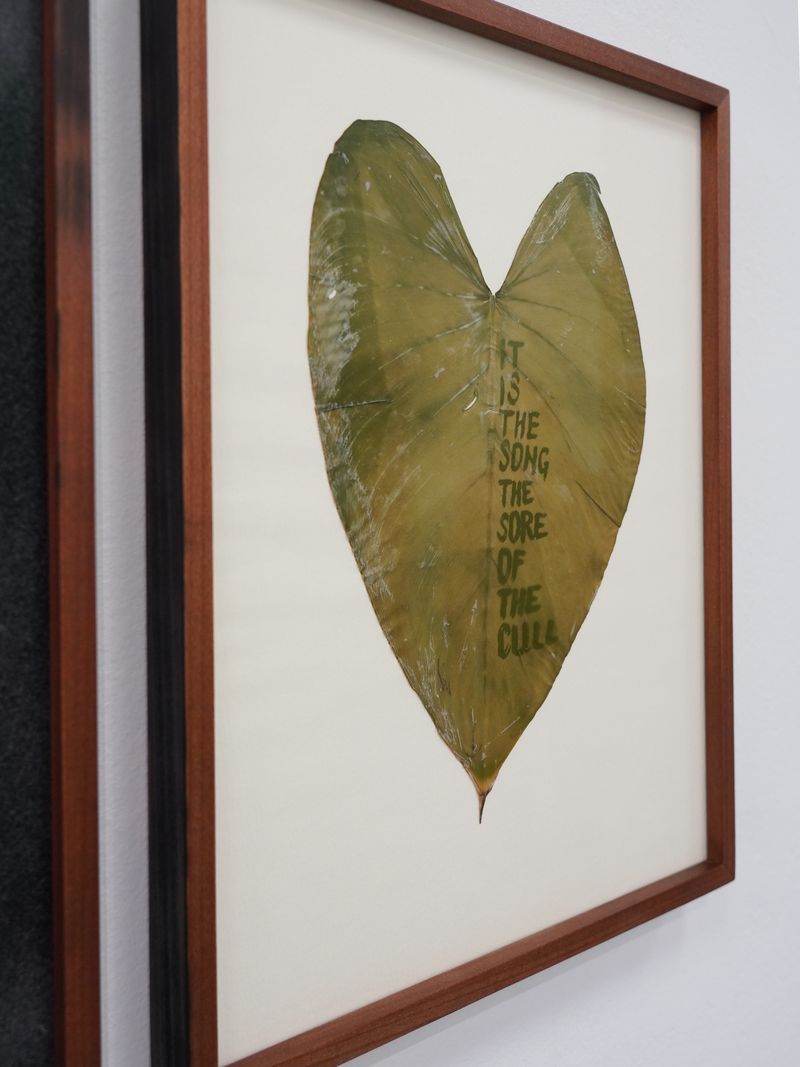 © Benedetta Casagrande - Image from the All Things Laid Dormant photography project