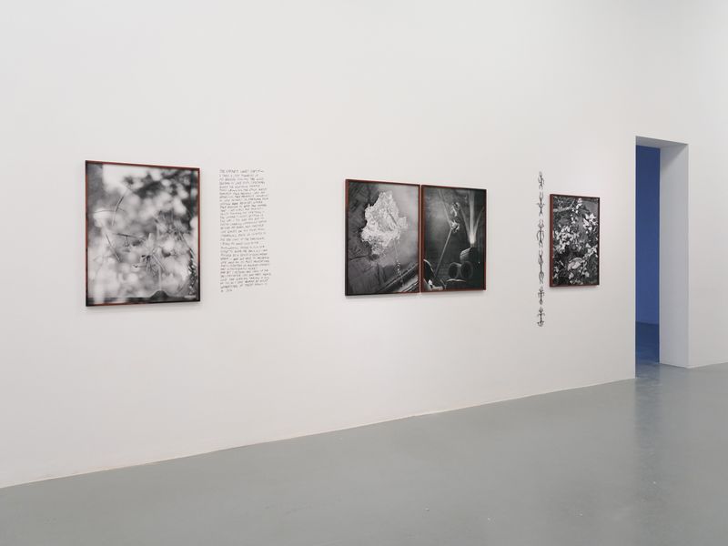 © Benedetta Casagrande - Installation for CONTAMINAZIONI, Giovane Fotografia Italiana | Premio Luigi Ghirri 2024.