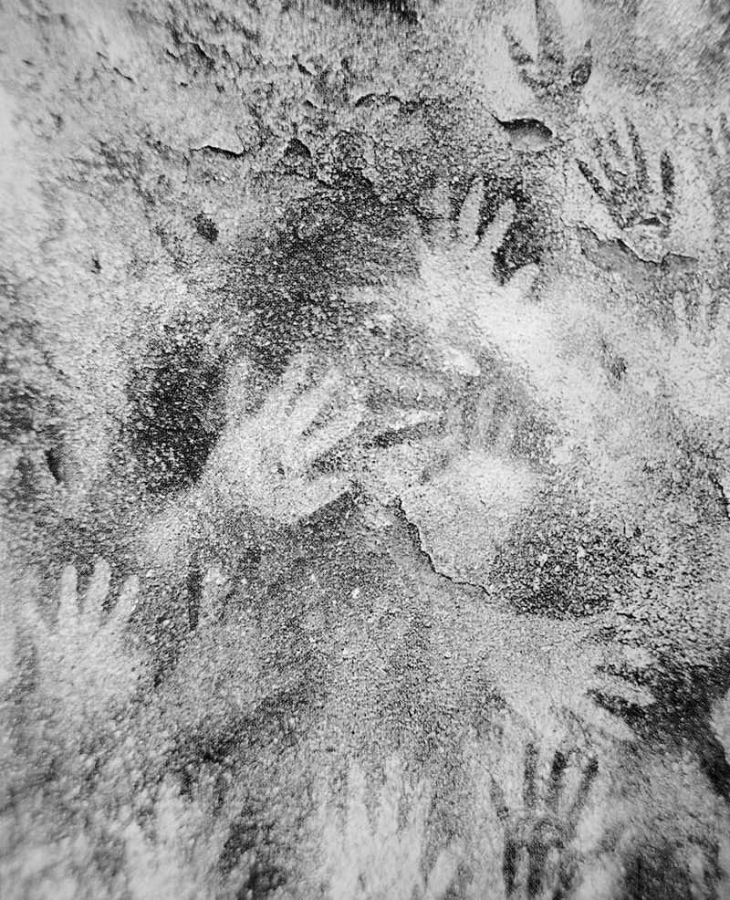 © Benedetta Casagrande - Image from the All Things Laid Dormant photography project