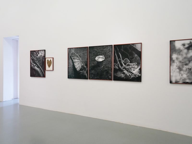 © Benedetta Casagrande - Installation for CONTAMINAZIONI, Giovane Fotografia Italiana | Premio Luigi Ghirri 2024.