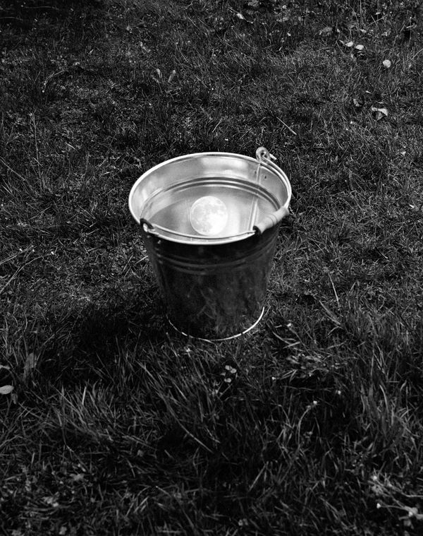 © Benedetta Casagrande - Image from the All Things Laid Dormant photography project