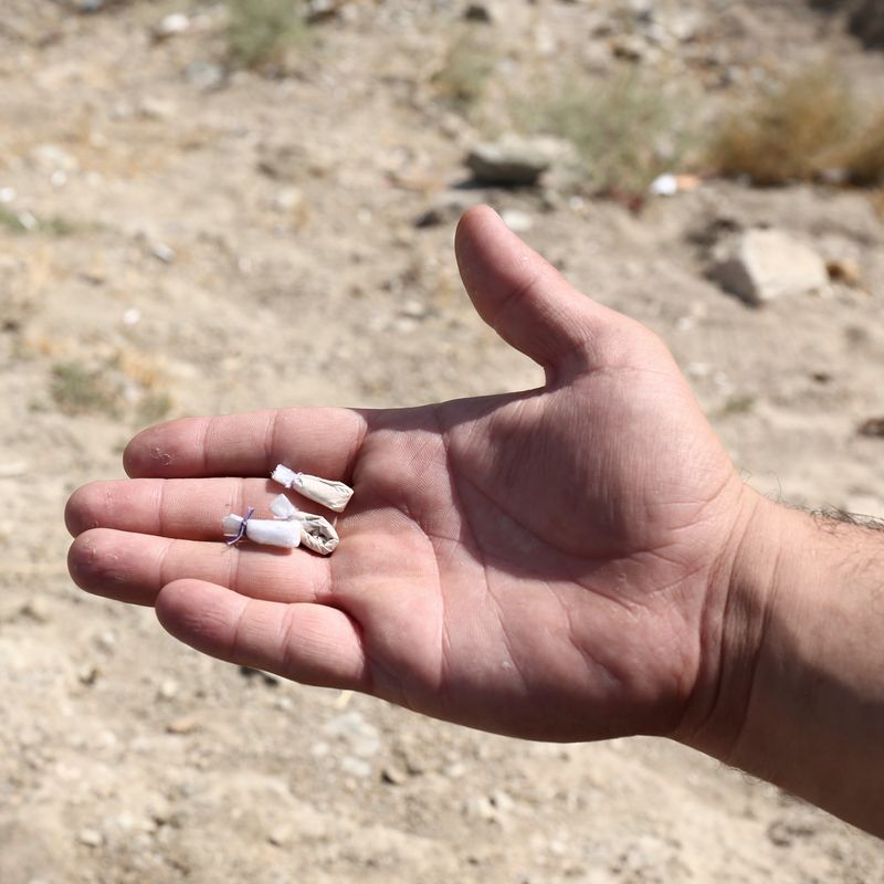 © Johanna Maria Fritz - Image from the Brown Sugar photography project