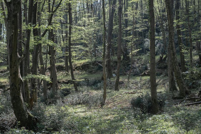 © Nika Petković - Image from the Flow (Tok) photography project