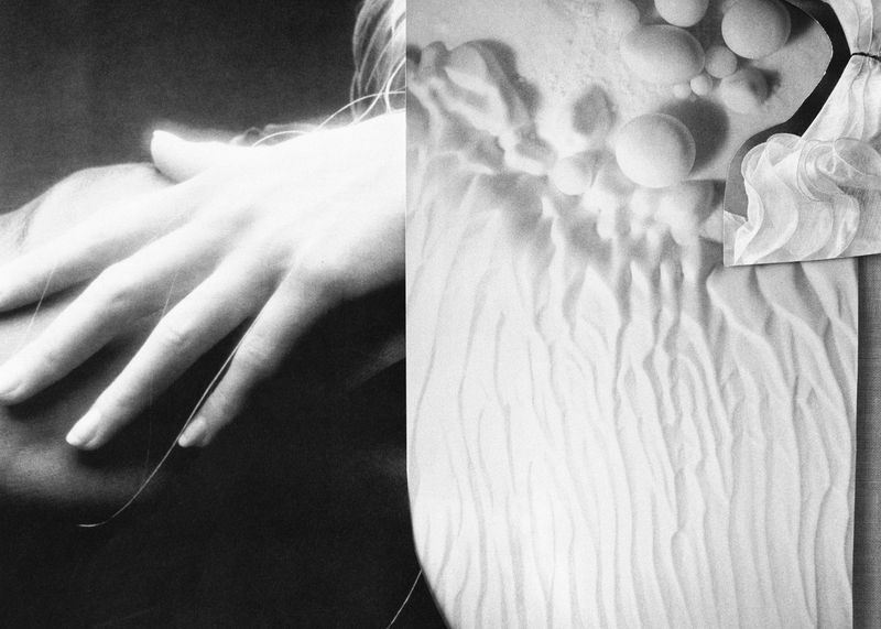 Celia Perrin Sidarous, The Glow, 2025. Courtesy of the artist and Patel Brown