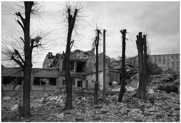 © Alfred Schupler - Image from the 821377 photography project