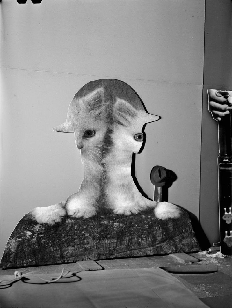 © Peter Franck - Image from the Still Like Art photography project