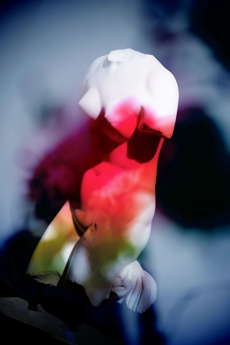 © Elena Subach - Image from the Altered Vision photography project