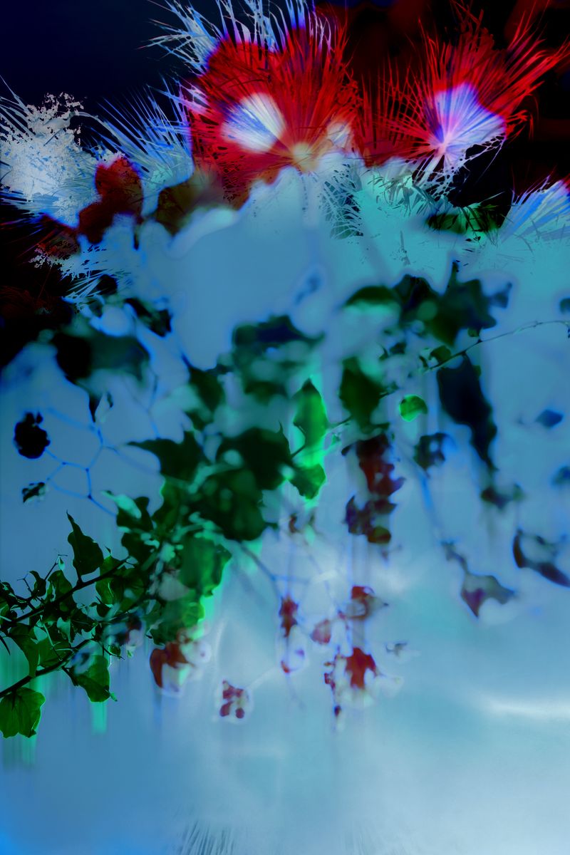 © Elena Subach - Image from the Altered Vision photography project