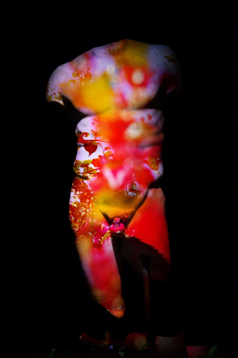 © Elena Subach - Image from the Altered Vision photography project