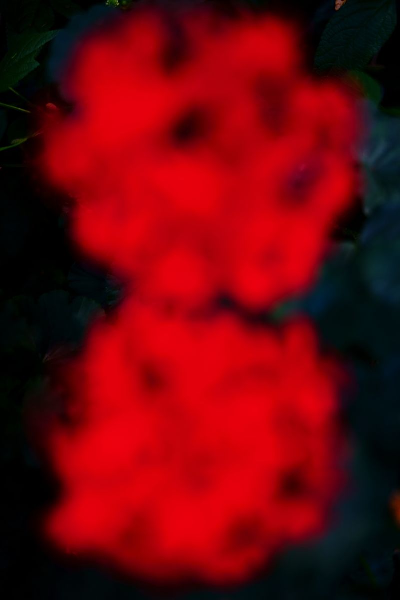 © Elena Subach - Image from the Altered Vision photography project