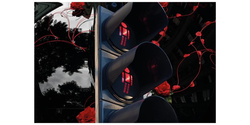 © Elena Subach - Image from the City of Gardens photography project