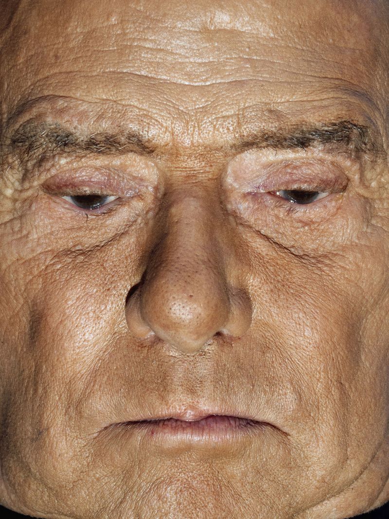 © LUCA SANTESE - Luca Santese & Marco P. Valli - Realpolitik 2018-2023. Silvio Berlusconi