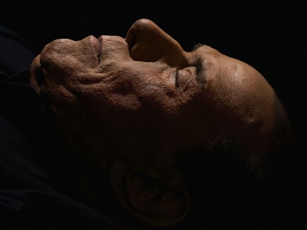© LUCA SANTESE - Luca Santese & Marco P. Valli - Realpolitik 2018-2023. - Silvio Berlusconi