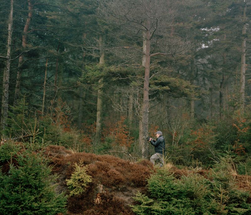 © Tobias Nicolai - Image from the Wolf land photography project