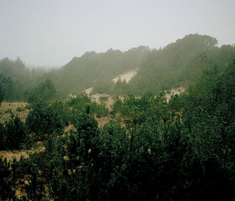 © Tobias Nicolai - Image from the Wolf land photography project