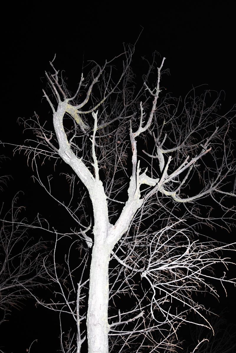 © Gian Marco Sanna - Image from the AGARTHI photography project