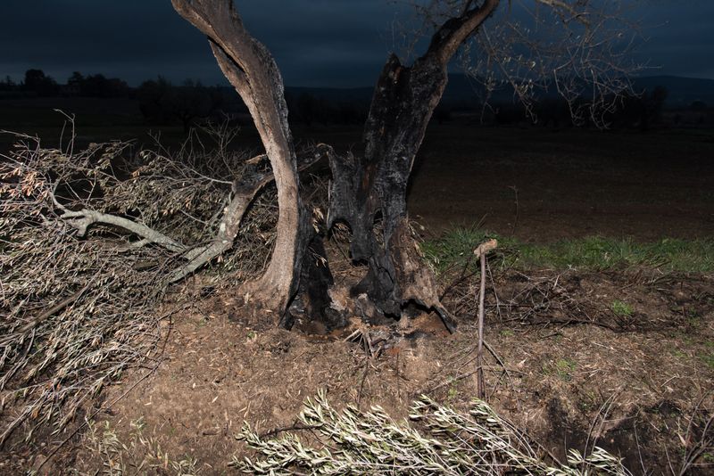 © Gian Marco Sanna - Image from the AGARTHI photography project