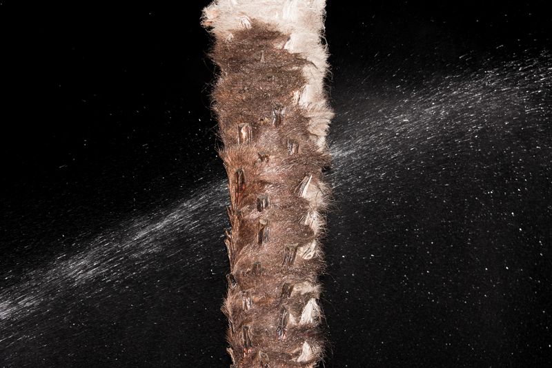 © Gian Marco Sanna - Image from the AGARTHI photography project