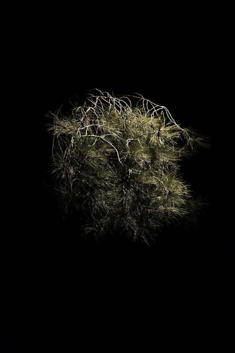 © Gian Marco Sanna - Image from the AGARTHI photography project