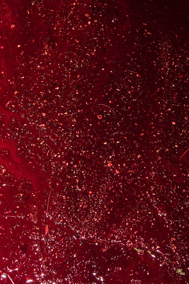 © Gian Marco Sanna - Image from the AGARTHI photography project