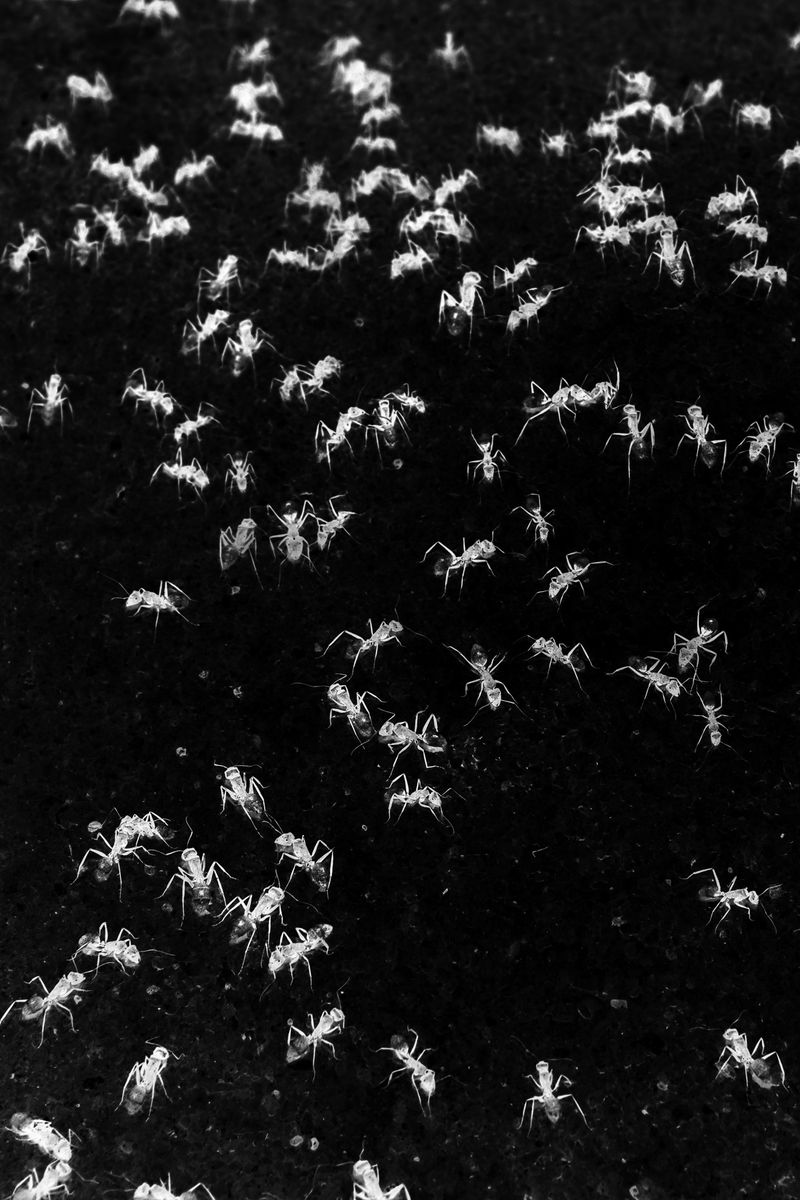 © Gian Marco Sanna - Image from the Paradise photography project