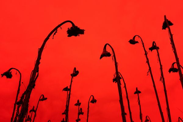 © Gian Marco Sanna - Image from the Paradise photography project