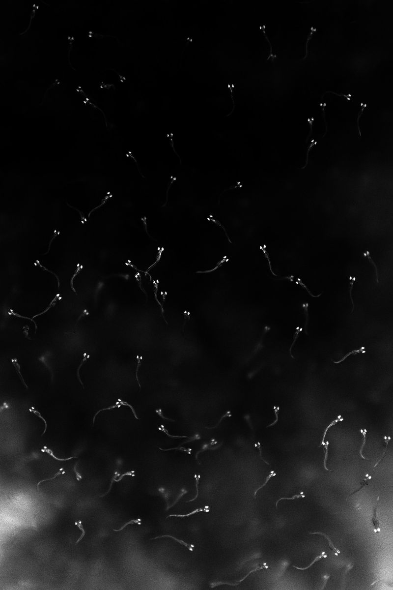 © Gian Marco Sanna - Image from the Paradise photography project