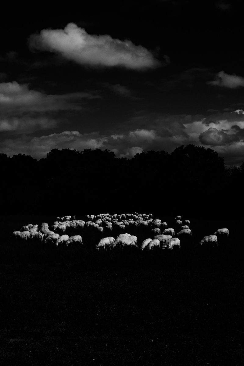 © Gian Marco Sanna - Image from the Paradise photography project