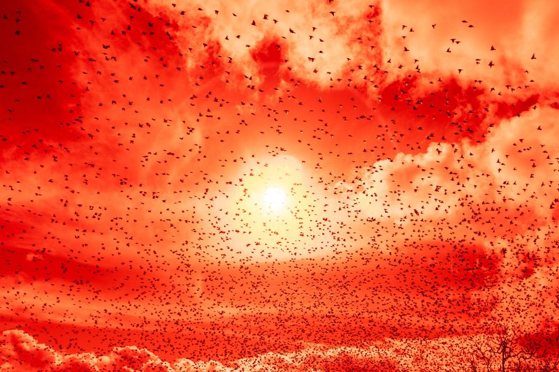 © Gian Marco Sanna - Image from the Paradise photography project