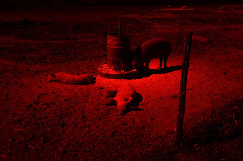 © Gian Marco Sanna - Image from the Paradise photography project