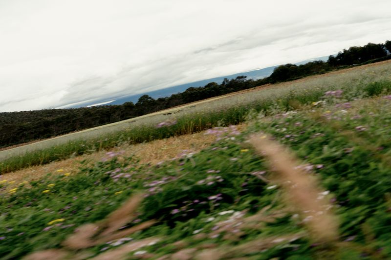 © Michelle Lasso - Image from the Threads of Rebellion photography project