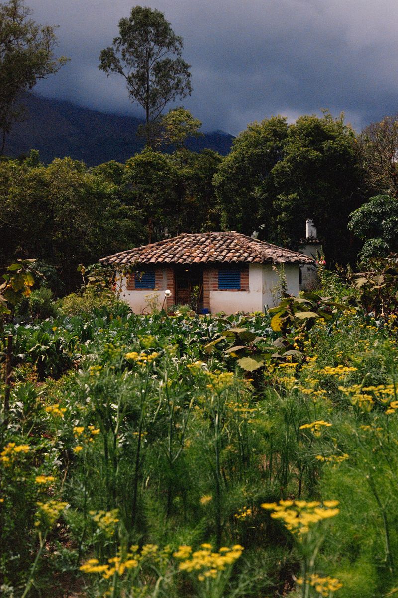 © Michelle Lasso - Image from the Threads of Rebellion photography project