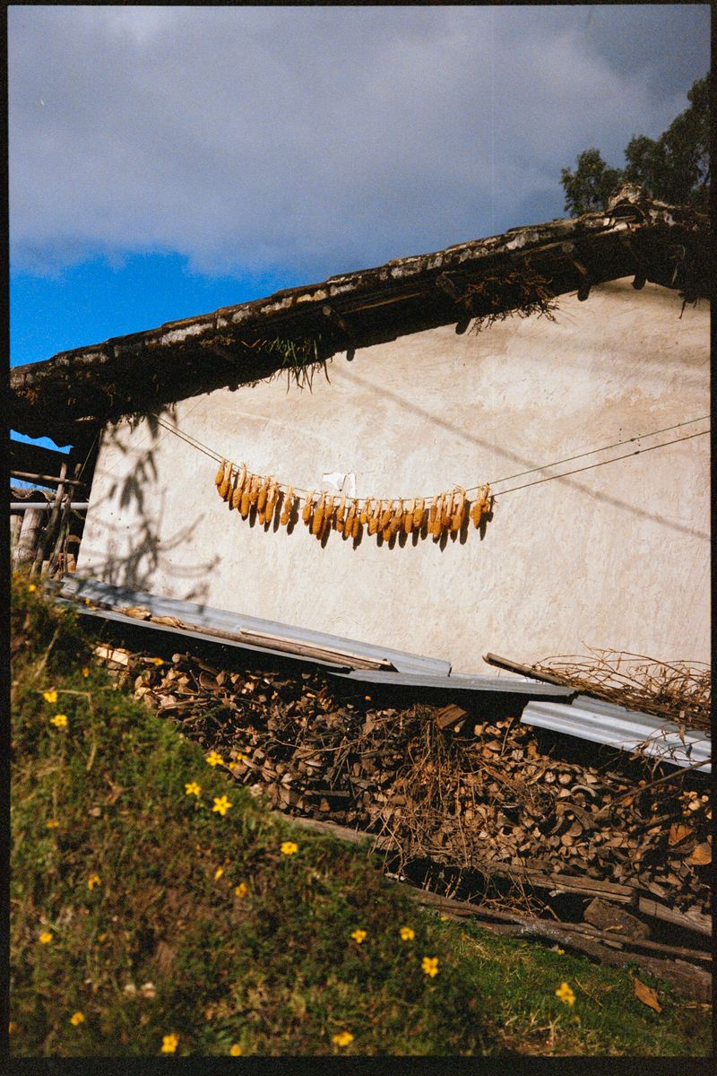 © Michelle Lasso - Image from the Threads of Rebellion photography project