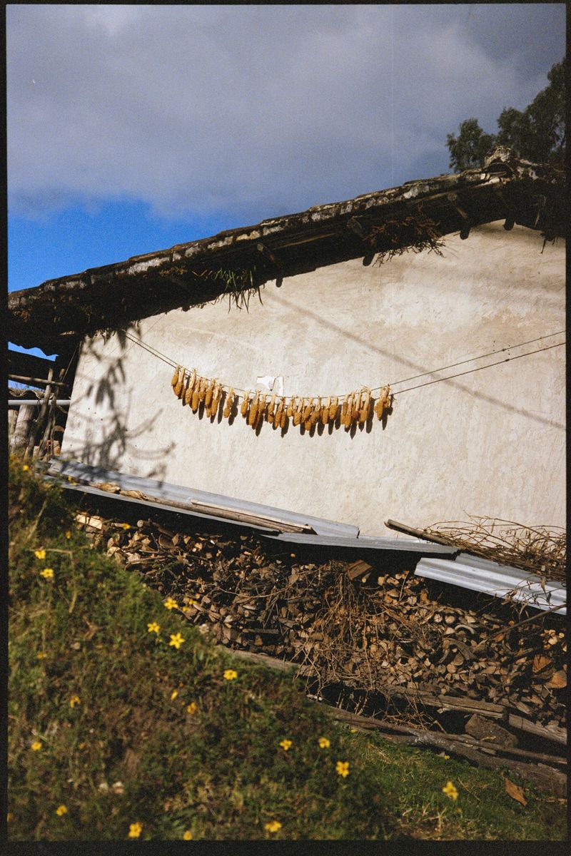 © Michelle Lasso - Image from the Threads of Rebellion photography project