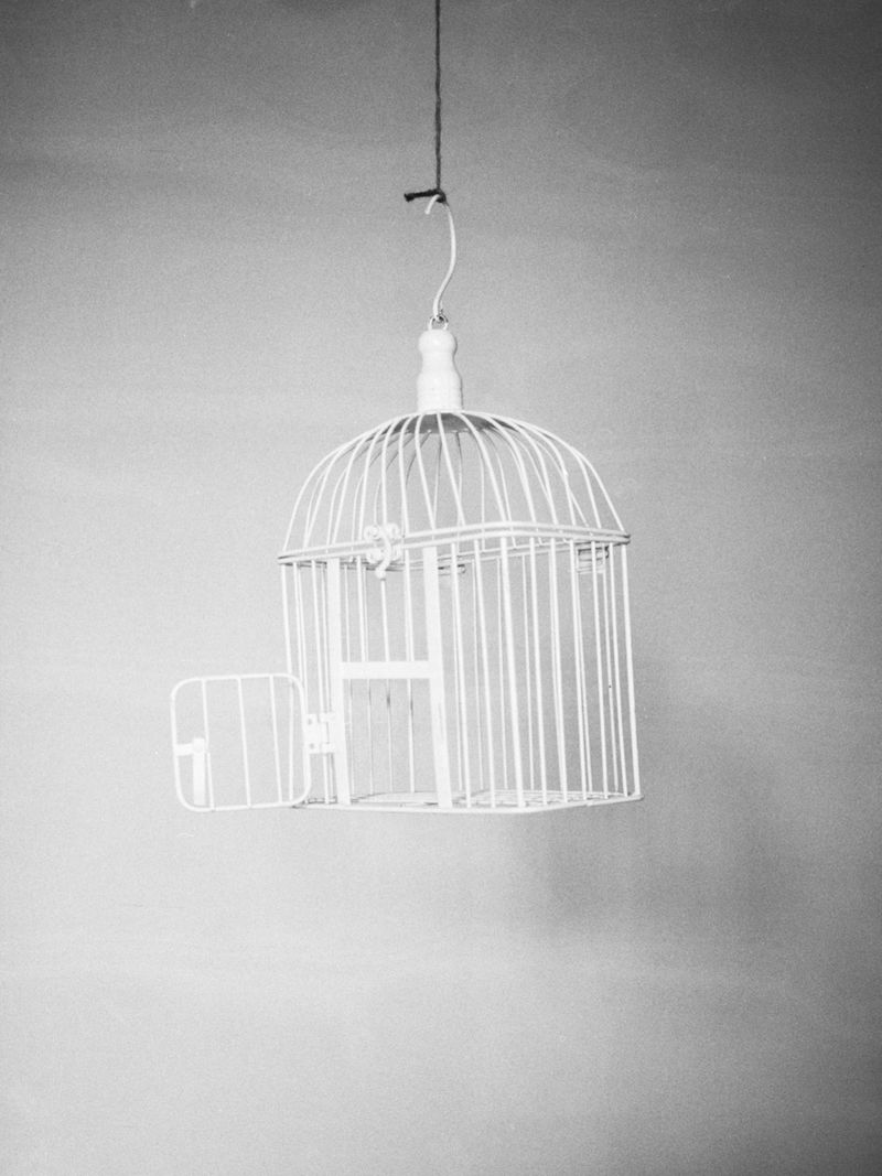 © Chris Lord - Image from the Twrch Trwyth photography project