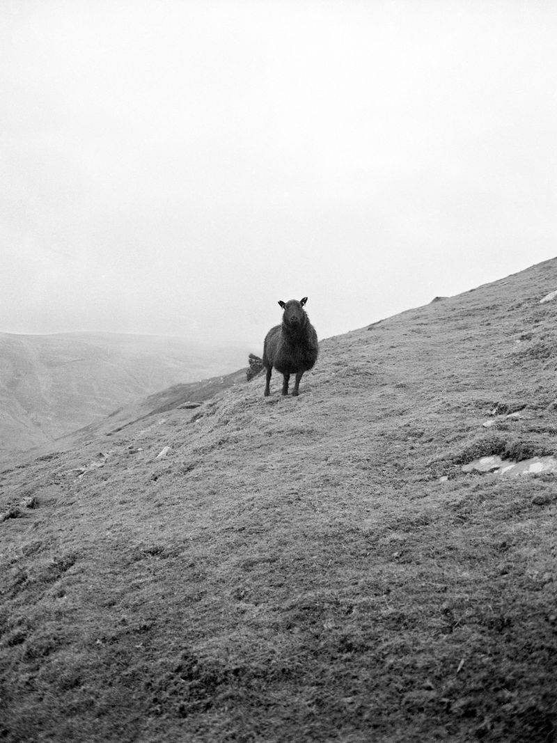 © Chris Lord - Image from the Twrch Trwyth photography project