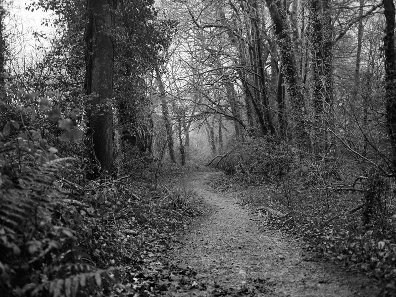 © Chris Lord - Image from the Twrch Trwyth photography project